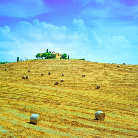 Tuscany, farmland country landscape, on hill top, hay rolls and harvested green fields  Val d Orcia, Italy, Europe の写真素材