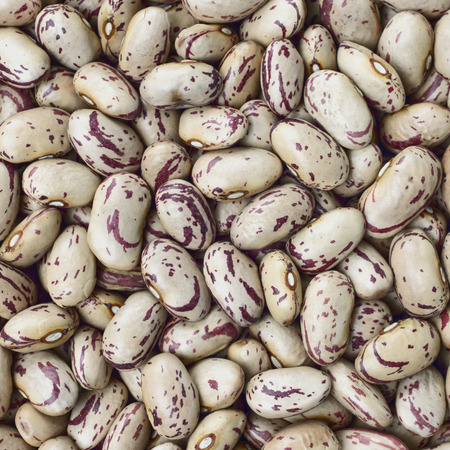 Cranberry, Borlotti, Roman or Shell beans texture background or pattern. Raw legume food.