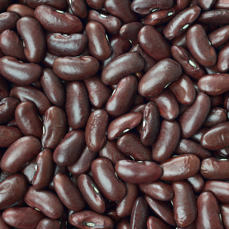 Black turtle beans texture background or pattern. Raw legume food.