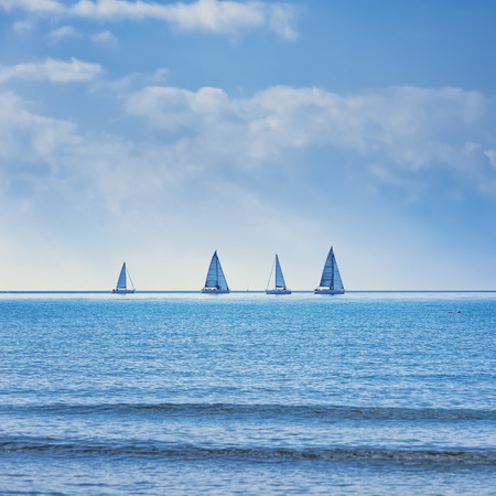 Sailing boat yacht or sailboat group regatta race on sea or ocean water. Panoramic view.