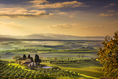 Tuscany Maremma foggy morning, farmland and green fields country landscape. Italy, Europe.の写真素材