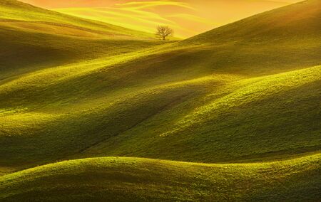 Tuscany panorama, rolling hills, fields, meadow and lonely tree. Italy, Europeの写真素材
