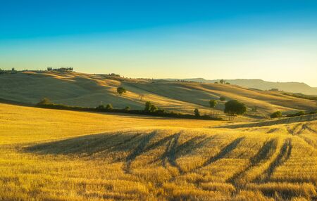 Tuscany countryside panoramic view, trees, rolling hills and green fields on sunset. Italy, Europeの写真素材