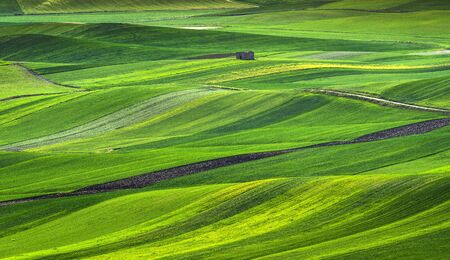 Apulia countryside view, rolling hills, green fields landscape and lonely ruined house. Poggiorsini,...
