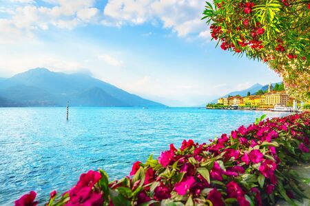 Bellagio town and flowers in Como lake district. Italian traditional lake village. Italy, Europe.の写真素材