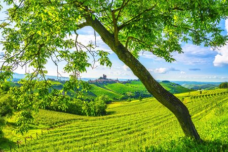 Langhe vineyards sunset panorama, Serralunga d Alba, Unesco Site, Piedmont, Northern Italy Europe.