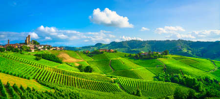 Langhe vineyards panorama, Serralunga d Alba, Piedmont, Northern Italy Europe.