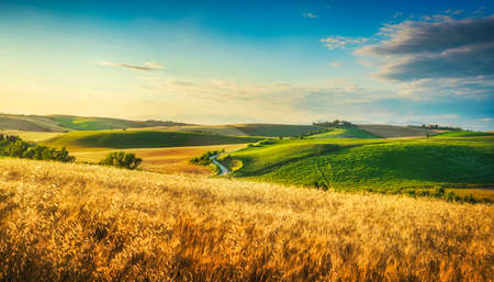 Tuscany countryside panorama, rolling hills and wheat fields at sunset. Santa Luce, Pisa Italy, Europeの写真素材