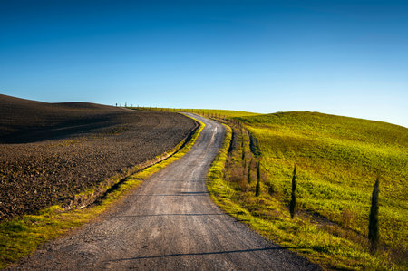 Monteroni d'Arbia, route of the via francigena. Uphill road, Field and trees. Siena, Tuscany. Italy, Europe.の写真素材