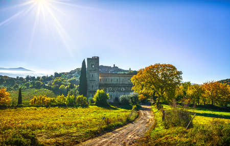 Sant Antimo, Castelnuovo Abate Montalcino church, country road and trees. Val d Orcia Tuscany, Italy, Europeの写真素材
