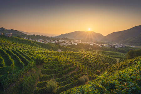 Prosecco Hills, vineyards and Guia village at dawn.の写真素材