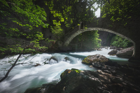 An old stone bridge over the stream in the Orrido of PrÃ© Saint Didier, a view in summer of this deep ravine in Aosta valley. Italy.の写真素材