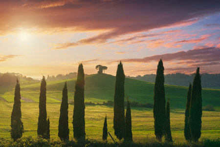 Sunset landscape in Maremma countryside. Rolling hills, cypress trees and an old windmill. Bibbona. Tuscany region, Italy, Europeの写真素材
