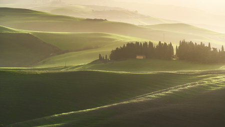 Misty countryside landscape with rolling hills and cypress trees at sunrise. Volterra, Tuscany region, Italy, Europeの写真素材