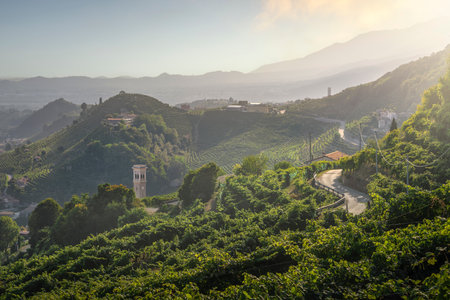 Vineyards and a road in the Prosecco Hills. Valdobbiadene, Veneto region, Italyの写真素材