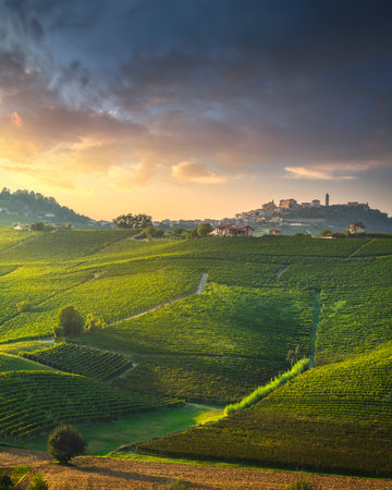 Langhe vineyards on the hills at sunset, Barolo and La Morra, Piedmont region, Italy, Europe