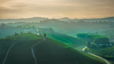 Neive village and Langhe vineyards in a foggy morning, Piedmont region, Italy, Europe.の写真素材