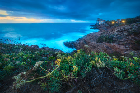 Boccale castle and the sandstone rocks of Romito during a storm at sunset and a plant in the foreground. Long exposure photography. Livorno, Tuscany region, Italy, Europeの写真素材