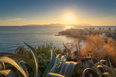 Piombino, view of Piazza Bovio and the lighthouse at sunset, Elba island in the background and some vegetation in the foreground. Maremma, province of Livorno, Tuscany region, Italyの写真素材