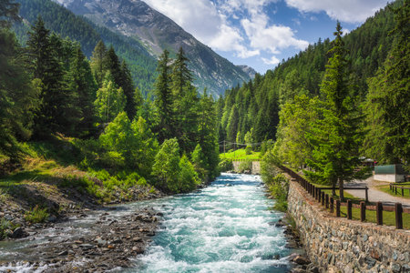 Cogne mountain landscape, a creek in summer in the italian Alps. Aosta Valley, Italyの写真素材