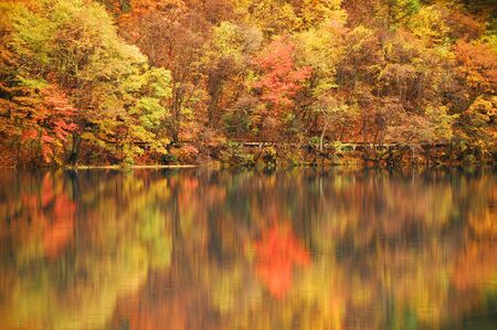 Autumn Reflectionの写真素材
