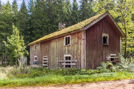 Waste house in the woddlandのeditorial素材