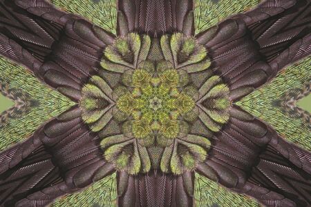 Kaleidoscopic  Ruby-throated Hummingbird (archilochus colubris) on a green backgroundの写真素材