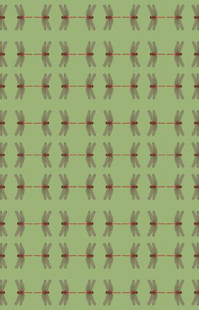 Kaleidoscopic Red Meadowhawk Dragonfly on a green backgroundの写真素材