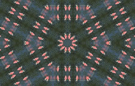Kaleidoscopic Roseate Spoonbill with green blue and pink