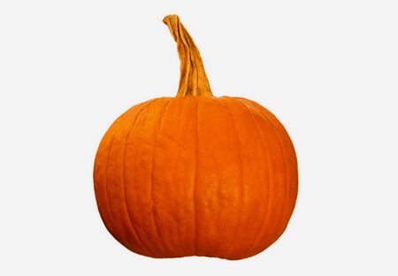 Halloween Pumpkin isolated - shot against a white backgroundの写真素材