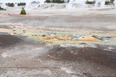 Colorful Bacterial Mat in Mammoth Springs In Yellowstone National Parkの写真素材
