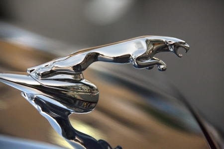 Jaguar is a British luxury and sports car manufacturer, headquartered in Coventry, England  It is part of the Jaguar Land Rover business, a subsidiary of the Indian company Tata Motors のeditorial素材