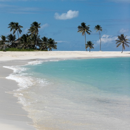A tropical beach on Paradise Island in the Bahamas の写真素材