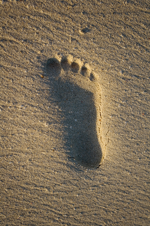 A footprint on a tropical beachの写真素材