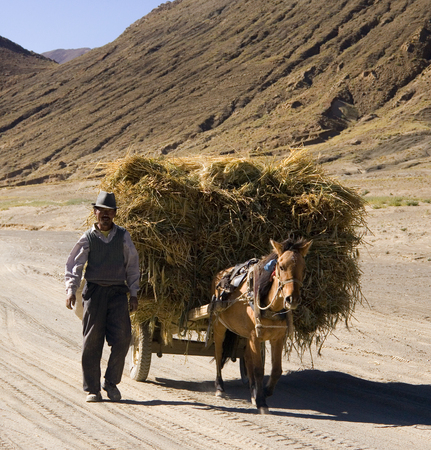 Peasent farmer with horse and cart at harvest time in the countryside near Gyantse in the Tibet Autonomous Region of Chine.のeditorial素材