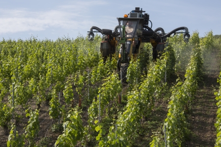 Mechanized spraying of a vineyard with insecticide  Near Reims in the Champagne region of northeast France のeditorial素材