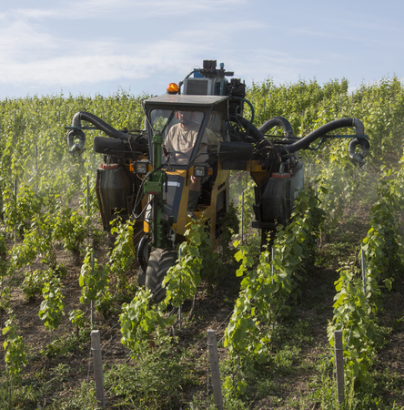Mechanized spraying of a vineyard with insecicide  Near Reims in the Champagne region of northeast France のeditorial素材