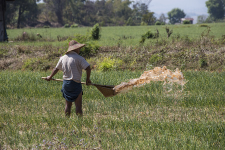 A Burmese farm worker irrigates a paddy field in the countryside near Taunggyi in Shan State, Myanmar - Burma  のeditorial素材
