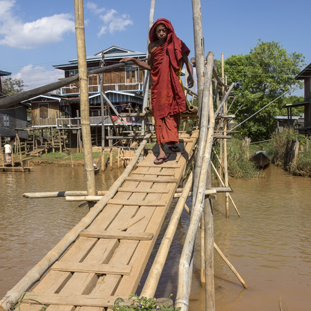 An elderly Buddhist monk crossing a makeshift bamboo bridge in the village of Ywama on Inle Lake, Shan State in Myanmar - Burma  のeditorial素材