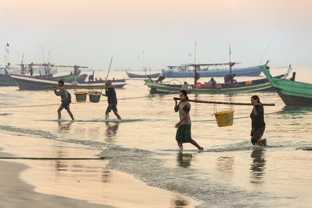 Burmese people bringing in the nights catch from fishing boats at dawn - Near the fishing village on Ngapali Beach in Myanmar - Burma  のeditorial素材