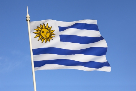 The national flag of Uruguay  The flag was first adopted by law on December 1828 and had 17 stripes until July 1830, when a new law reduced the number of stripes to nine  の写真素材