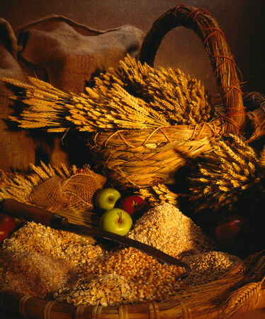 Farmhouse kitchen - wheat, corn, oats and grain の写真素材