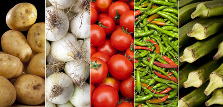 A selection of fresh vegetables - cooking ingredientsの写真素材