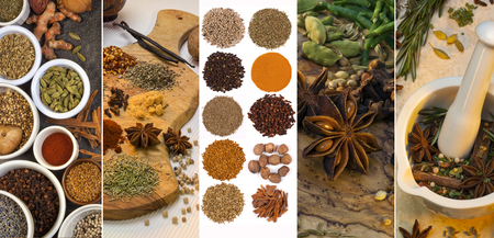 A selection spices used for flavoring and seasoning.の写真素材