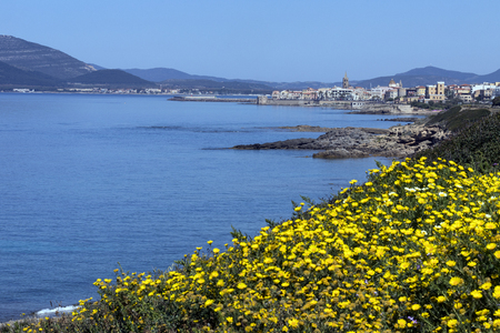 The coastline near the port of Alghero in the province of Sassari on the northwest coast of the island of Sardinia, Italy.の写真素材