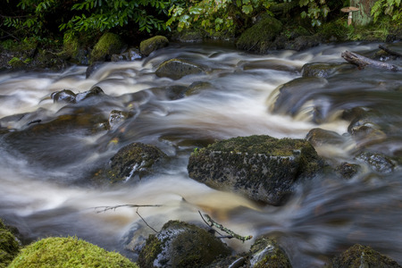 Woodland stream in the northwest of Scotland. (long exposure).の写真素材