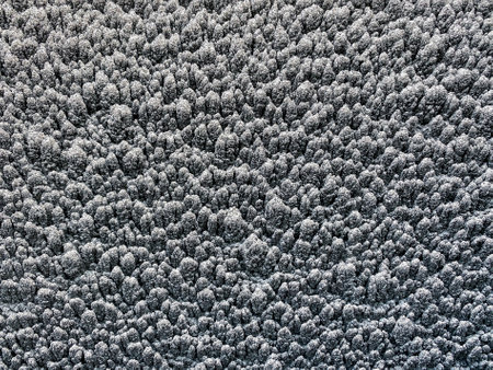 Textured background - paint overspray deposits on the wall of a spray painting  booth.の写真素材