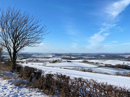 Winter snow in the countryside of North Yorkshire in the United Kingdom.の写真素材