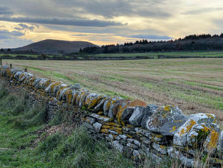Late afternoon light on a lichen covered dry stone wall and farmland in the Caithness region of northern Scotlandの写真素材