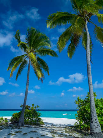 Luxury vacation in South Ari Atoll in the Maldives, Indian Ocean.の写真素材